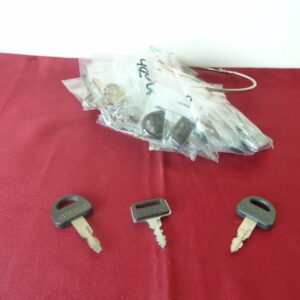 Keys with plastic cap